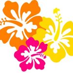 Drawing of orange yellow and pink hibiscus flowers