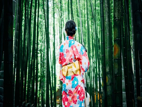 woman in kimono in bamboo grove