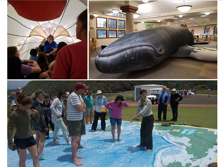 inflatble whale and oversized map of the pacific