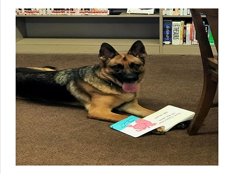 Lady the Book Dog