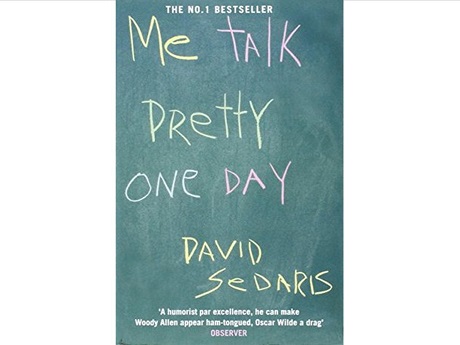 Me Talk Pretty One Day book cover