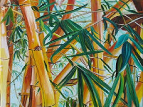 A bamboo grove