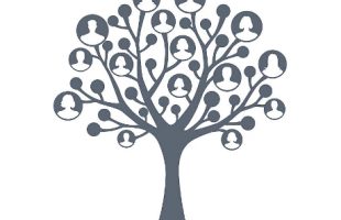 family tree clipart image