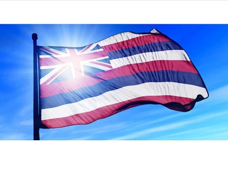 Hawaii flag