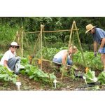 UH Master Gardener Program
