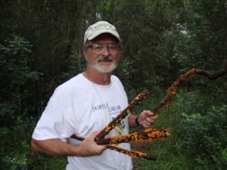 Man in forest holding branches with spores on it