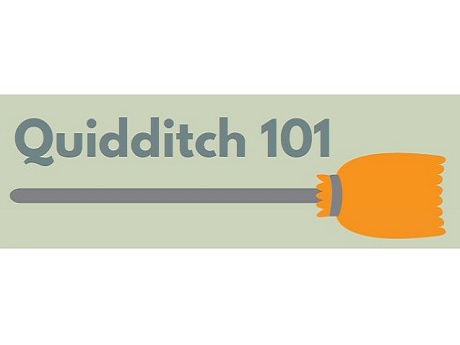 Quidditch 101 with a broom stick