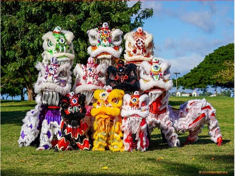 Asian Lion Dance Team