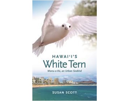 Hawaii's White Tern bookcover