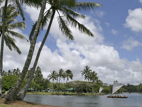 double hulled canoe sailing in water by some surrounding palm trees