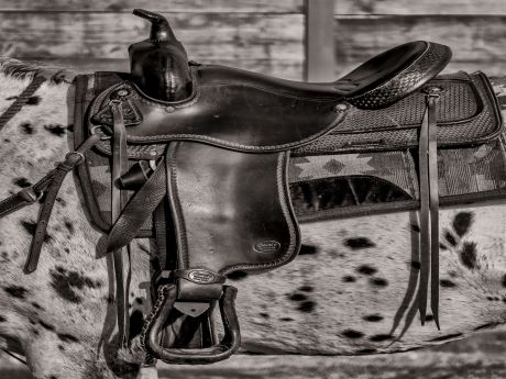 Saddle on a horse