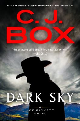 Dark Sky book cover