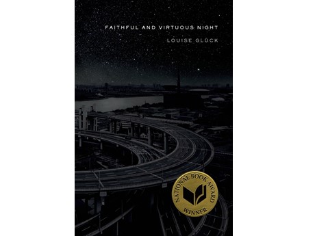 Faithful and Virtuous Night book cover, a greytoned, dark depiction of a city with it's highways.