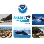 NOAA"Share the Shore & Sea Youth Art Contest