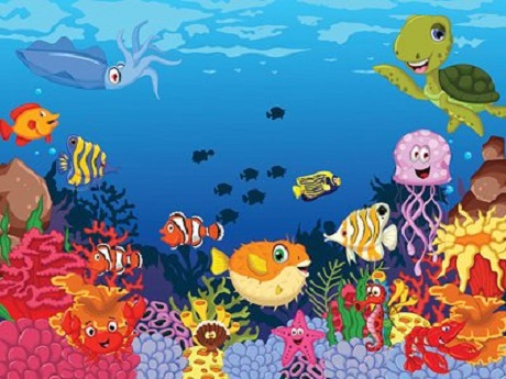 animals in the ocean