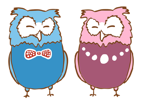 Pink and Blue Cartoon Owls