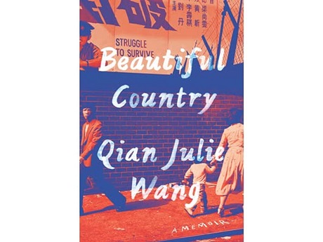cover of the book Beautiful Country