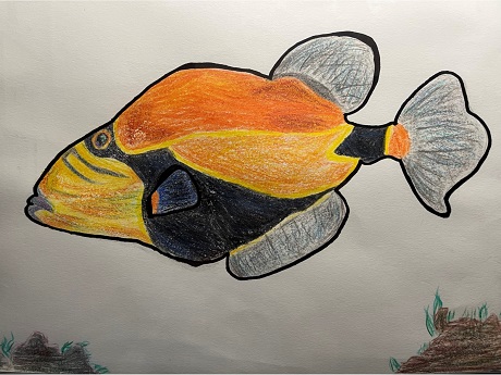 Child's drawing of fish