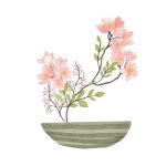 Ikebana Flowers