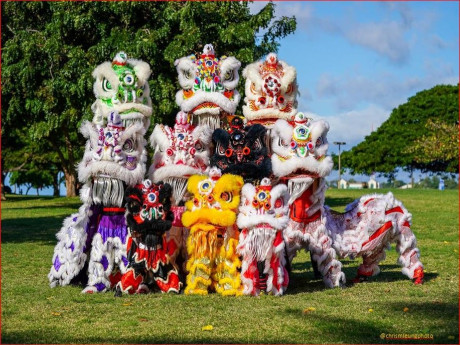 photograph of lion dance performers in colorful lion costumes.