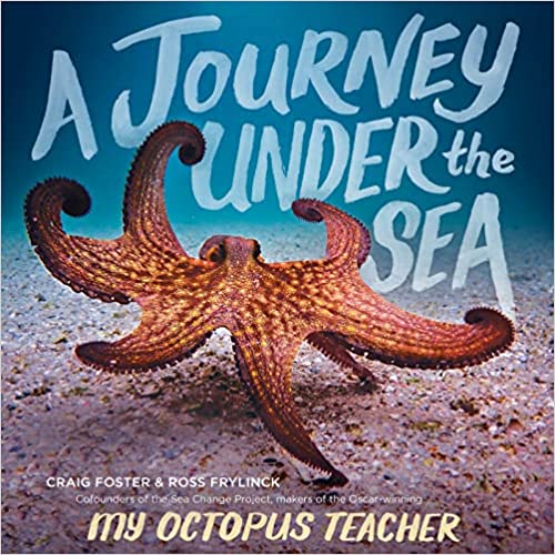A Journey Under The Sea book cover