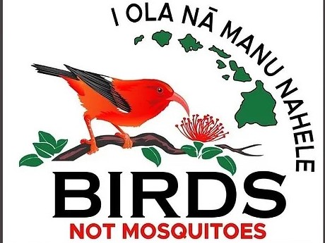 Logo for Birds Not Mosquitoes organization