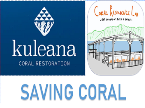 Saving Coral Kuleana Coral and Coral Resilience Lab logos
