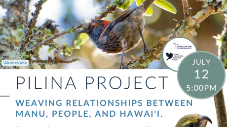 Pilina Project July 12
