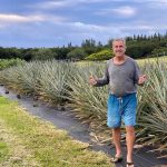 Photo of farmer Ted Bennett in gray long sleeve shirt and blue surf shorts, giving two thumbs up in front of field of pineapples.