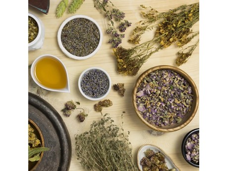 Photo of various herbs used in Chinese Medicine on beige background
