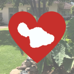 Red heart with island of Maui and Lahaina Library in background