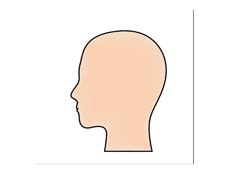 Skin-hue line drawing of human head (left side)