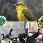State Department of Land and Natural Resources' Hawaii Wildlife Conservation Stamp Contest