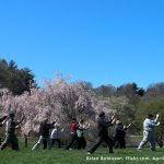 People standing in Tai Chi pose