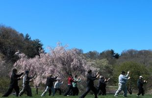 People standing in Tai Chi pose