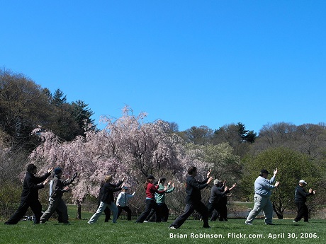 People standing in Tai Chi pose