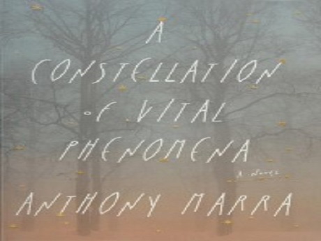 A Constellation of Vital Phenomena Book Cover with text and grey background