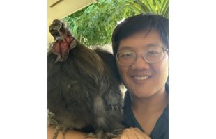 Person holding a chicken