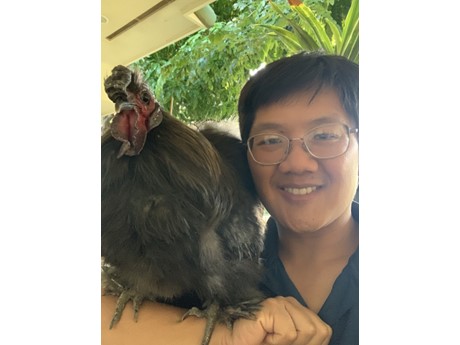 Person holding a chicken