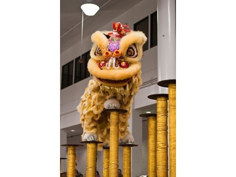 Chinese Lion Dance