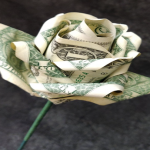Dollar Rose dark background