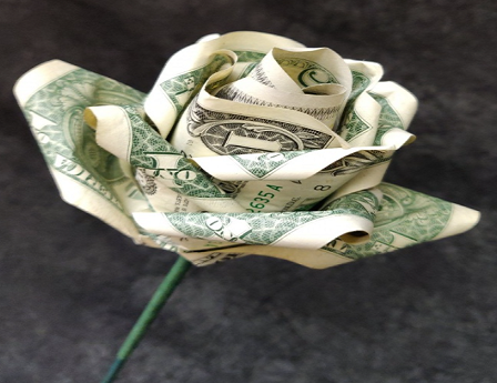 Dollar Rose dark background
