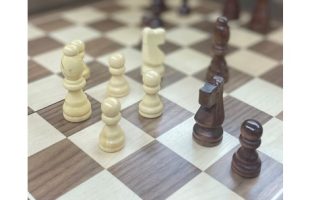 white and brown chess pieces on a chess board