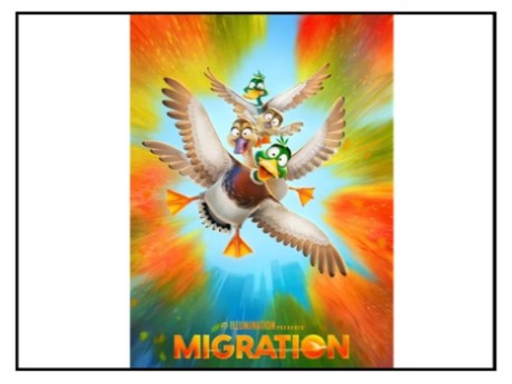migration ducks