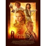 Princess Bride movie poster - Buttercup, Westley, Inigo Montoya, and Fezzik with orange background