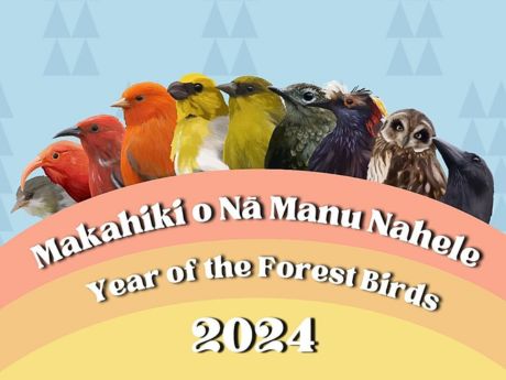 "Year of the Forest Birds" logo