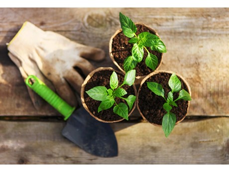 garden pots