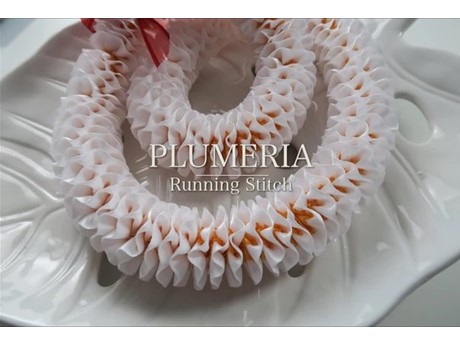 Plumeria ribbon lei