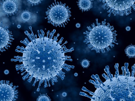 Photo of a virus