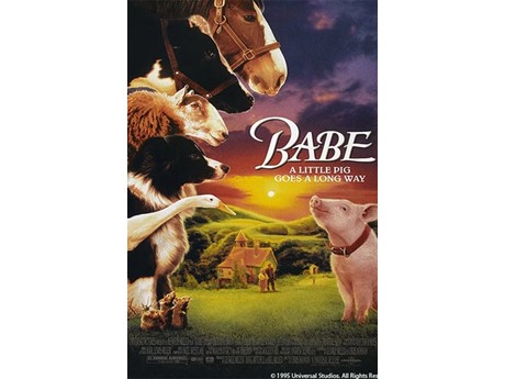 A pig, Babe, looking at his barnyard friends with a farm in the background